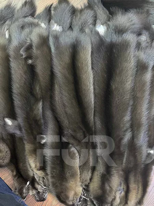 Шкурки Соболя Баргузинского 3 цвет, набор, артикул 4108, цена 28500 руб. FUR EXPERT