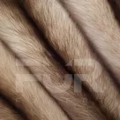 Соболь тортор светлый, артикул 880, цена 14500 руб. FUR EXPERT