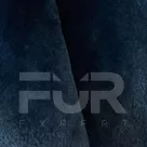 Бобр синий, артикул 2565, цена 6500 руб. FUR EXPERT