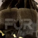 Шкурки Норки Браун 00/0000, артикул 3700, цена 6900 руб. FUR EXPERT